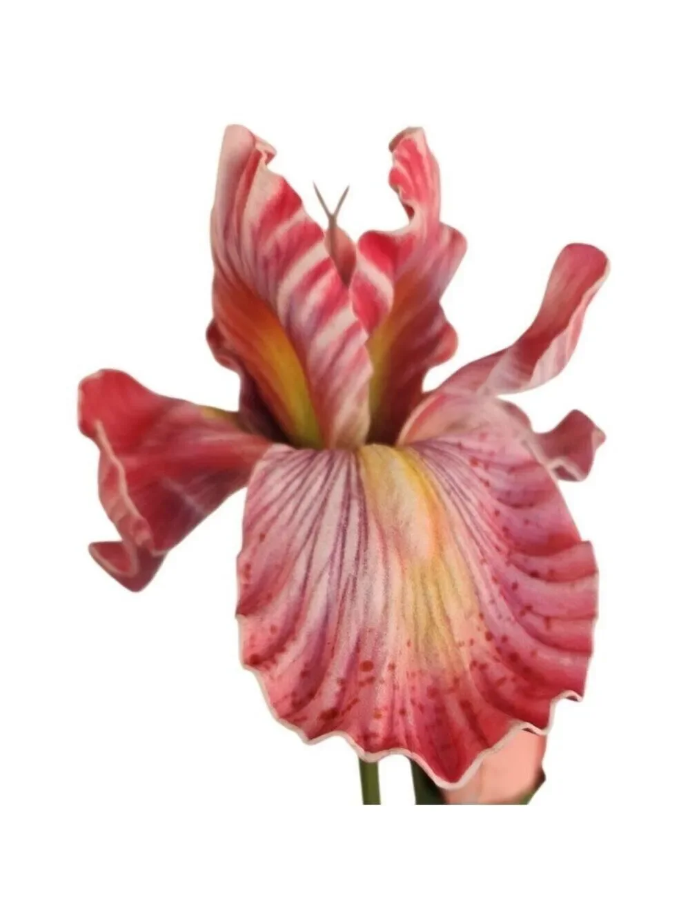 Artificial Iris Flower 33 Inch Tall Pink Faux Iris Stem Hand Painted Look Floral